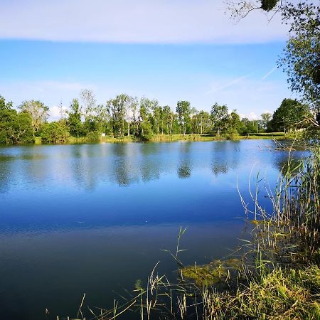 Gite A La Campagne - Etat Nature Magnieres Экстерьер фото